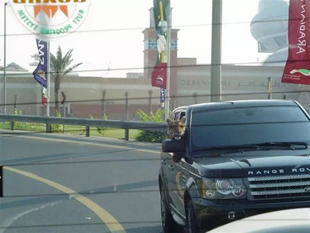 Choses incroyables a voir uniquement a dubai - #29 