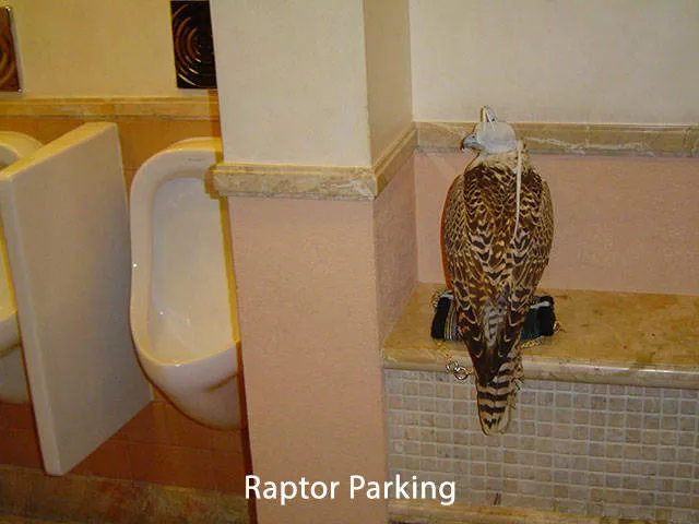 Amazing things only in dubai - #38 