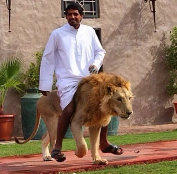 Amazing things only in dubai - #5 