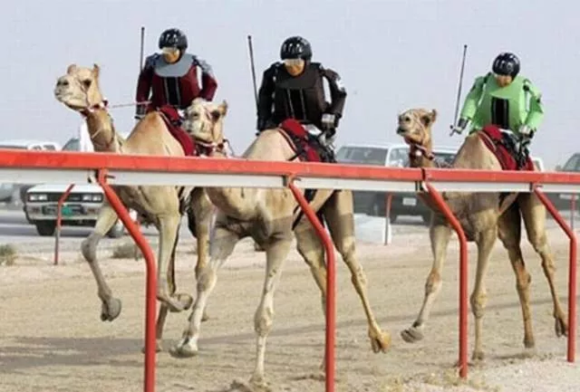 Amazing things only in dubai - #6 