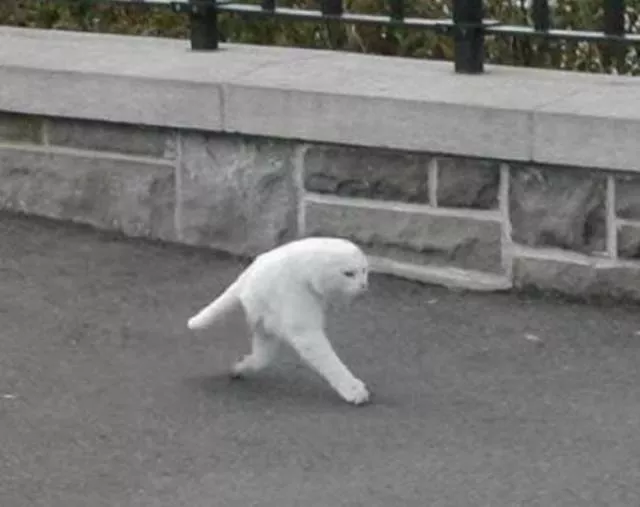 The worst panorama error - #16 