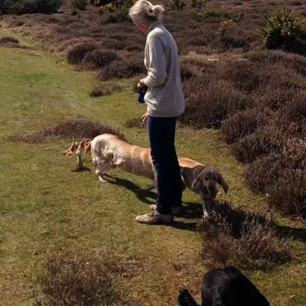 The worst panorama error - #33 