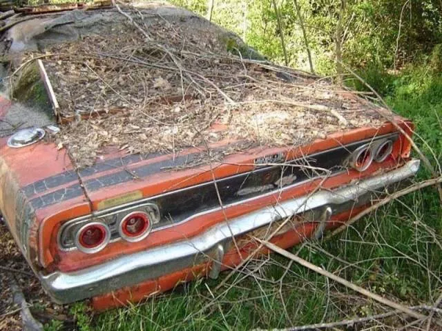 Terrible to see - #11 