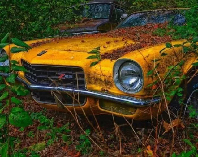 Terrible to see - #19 