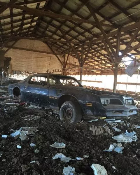 Terrible to see - #23 