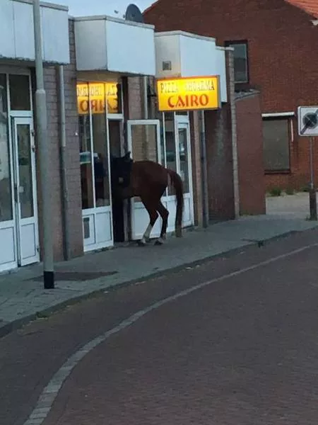 Picdump 78 - #17 