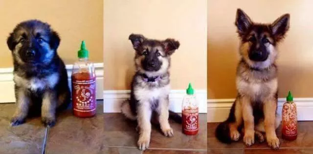 Picdump 78 - #47 