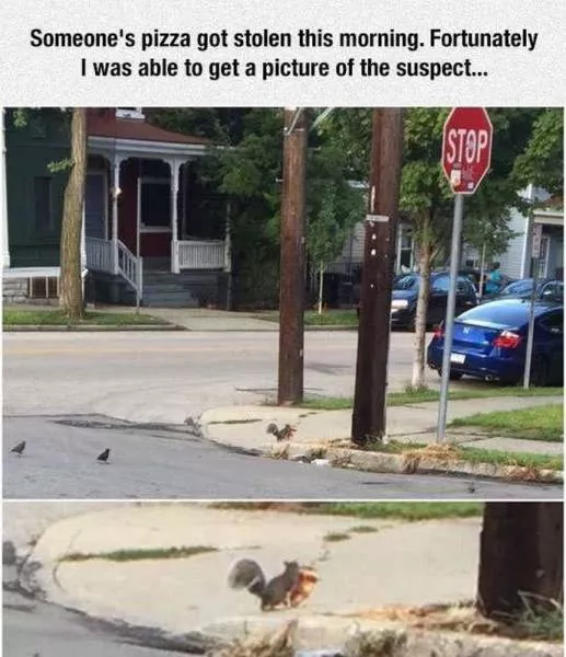 Picdump 78 - #49 