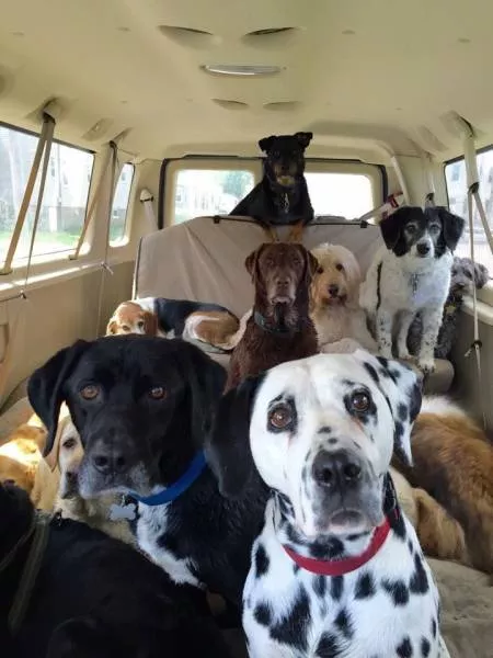 Picdump 78 - #59 