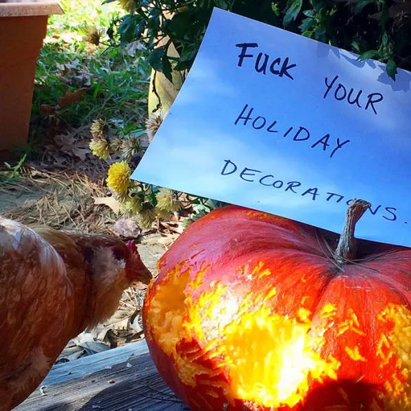The chicken day - #36 