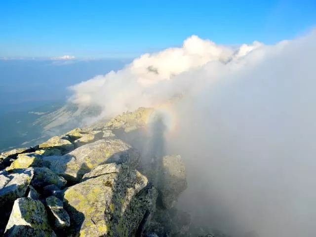 The magic of nature - #6 