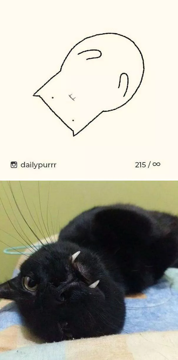 Dessins de chats tres stupides - #1 