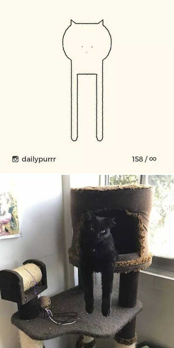 Dessins de chats tres stupides - #10 
