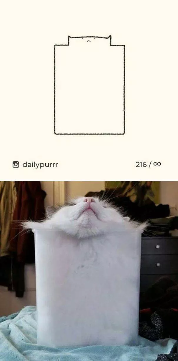 Dessins de chats tres stupides
