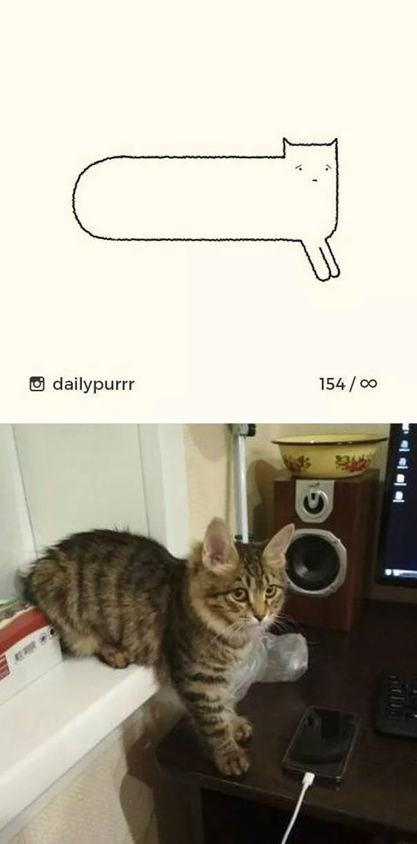 Dessins de chats tres stupides - #12 