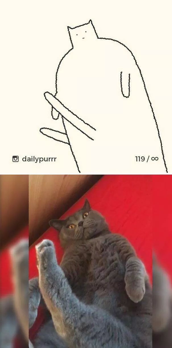 Dessins de chats tres stupides - #13 