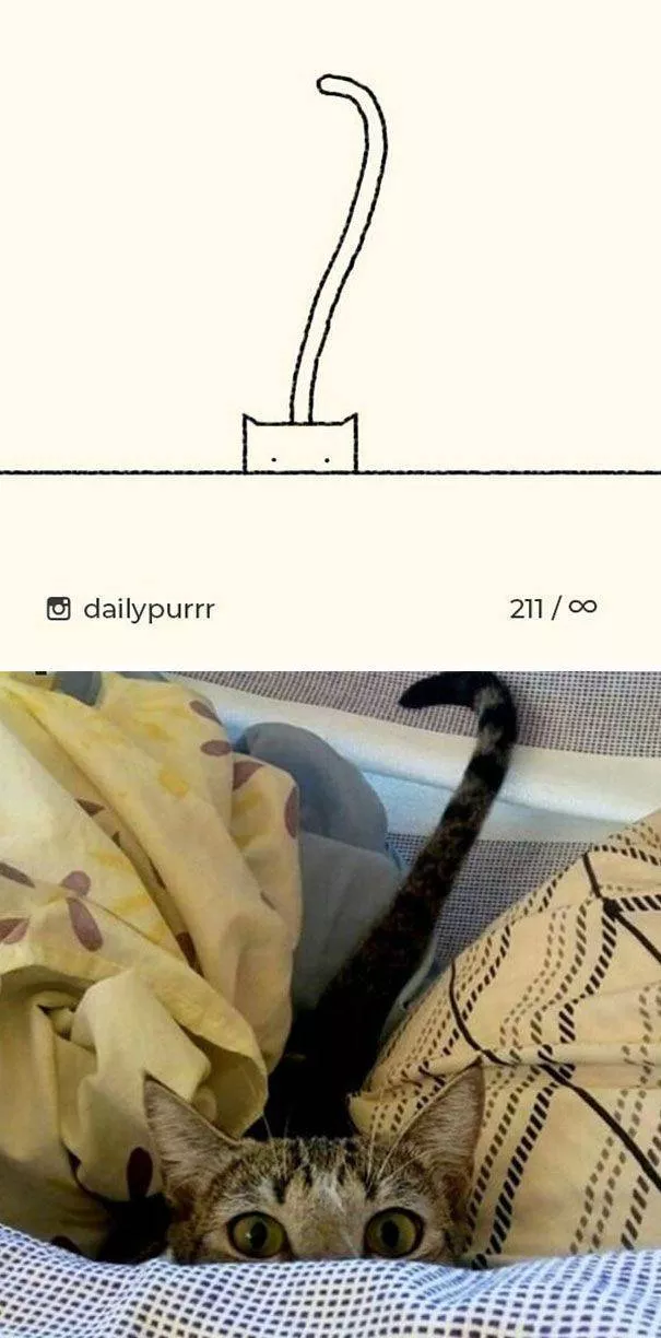 Cat drawings very stupid - #14 