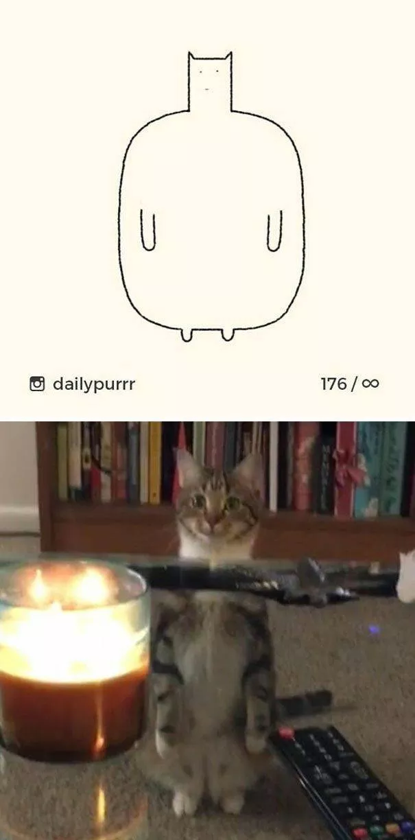 Dessins de chats tres stupides - #16 