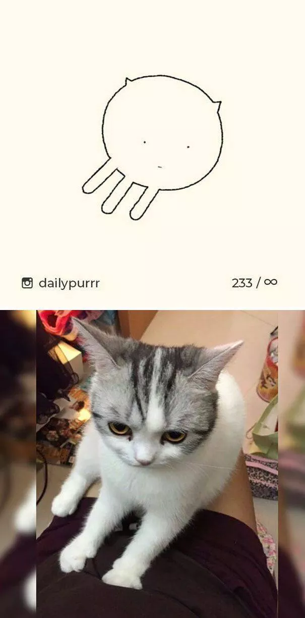 Dessins de chats tres stupides - #17 