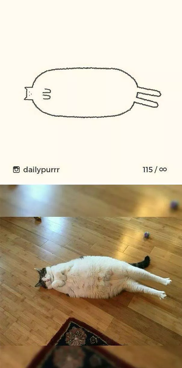 Dessins de chats tres stupides - #18 