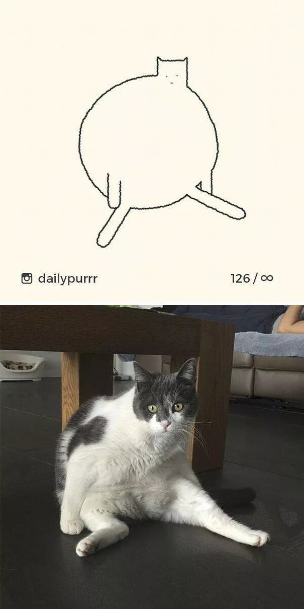 Dessins de chats tres stupides - #19 
