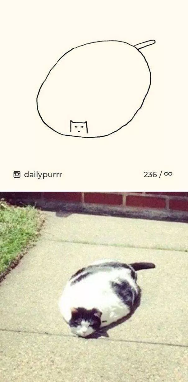 Dessins de chats tres stupides - #2 