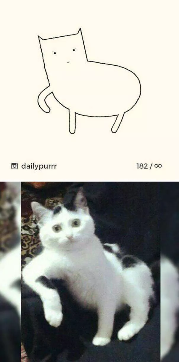 Dessins de chats tres stupides - #20 