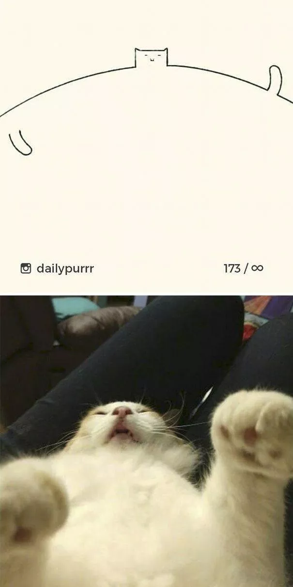 Cat drawings very stupid