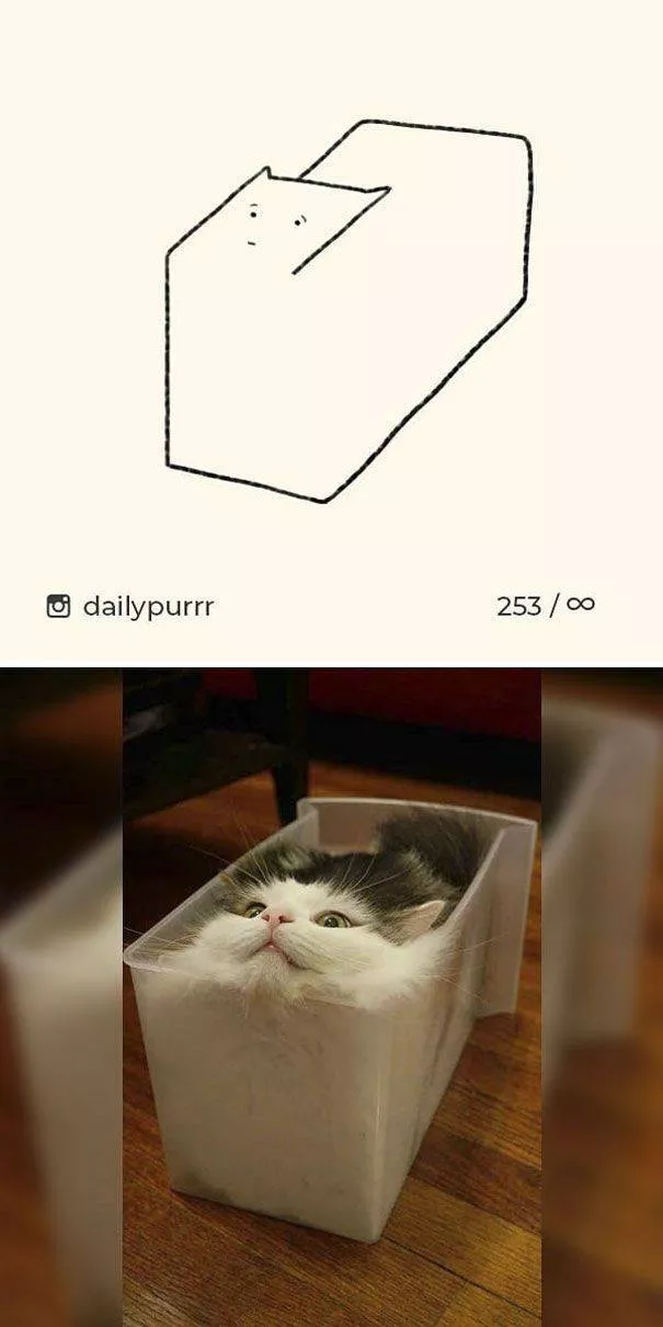 Dessins de chats tres stupides - #22 
