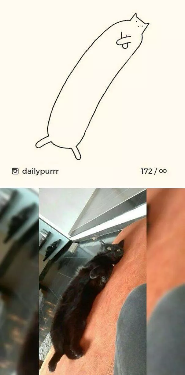 Cat drawings very stupid - #23 