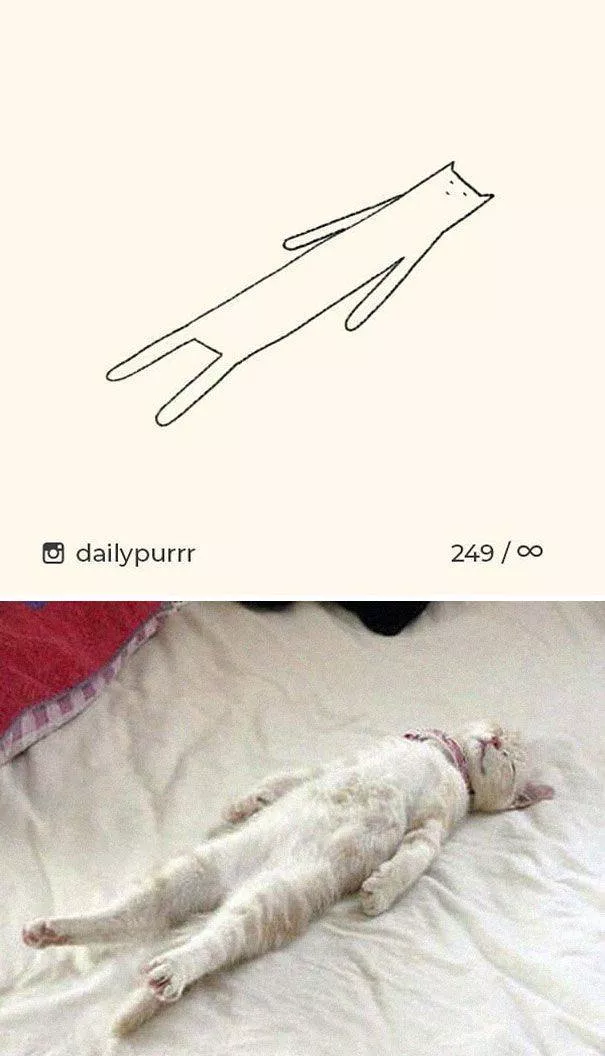 Dessins de chats tres stupides - #24 
