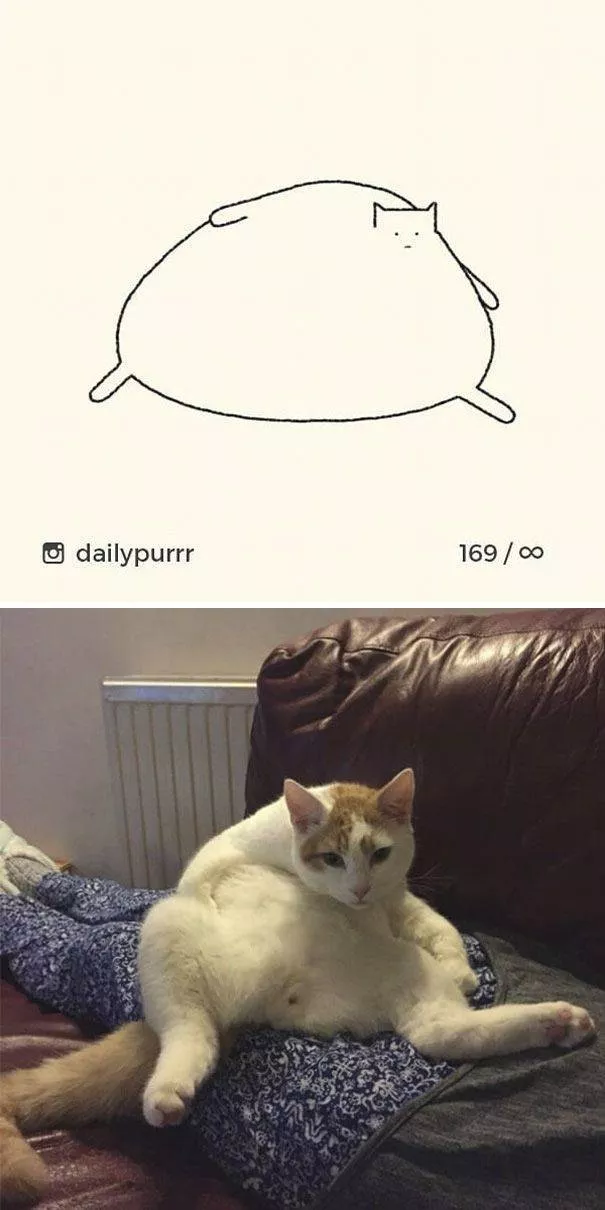 Dessins de chats tres stupides - #25 