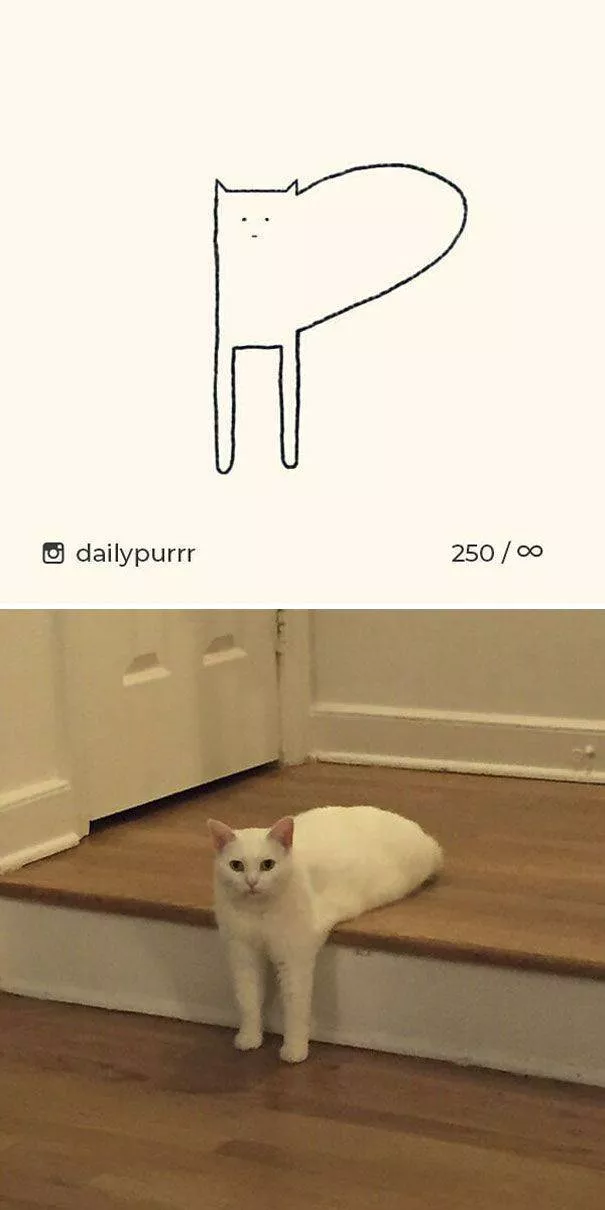 Dessins de chats tres stupides - #3 