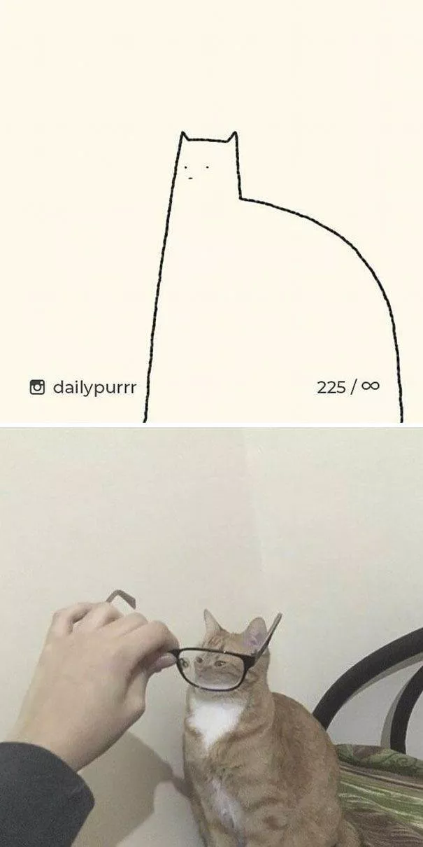Dessins de chats tres stupides - #4 