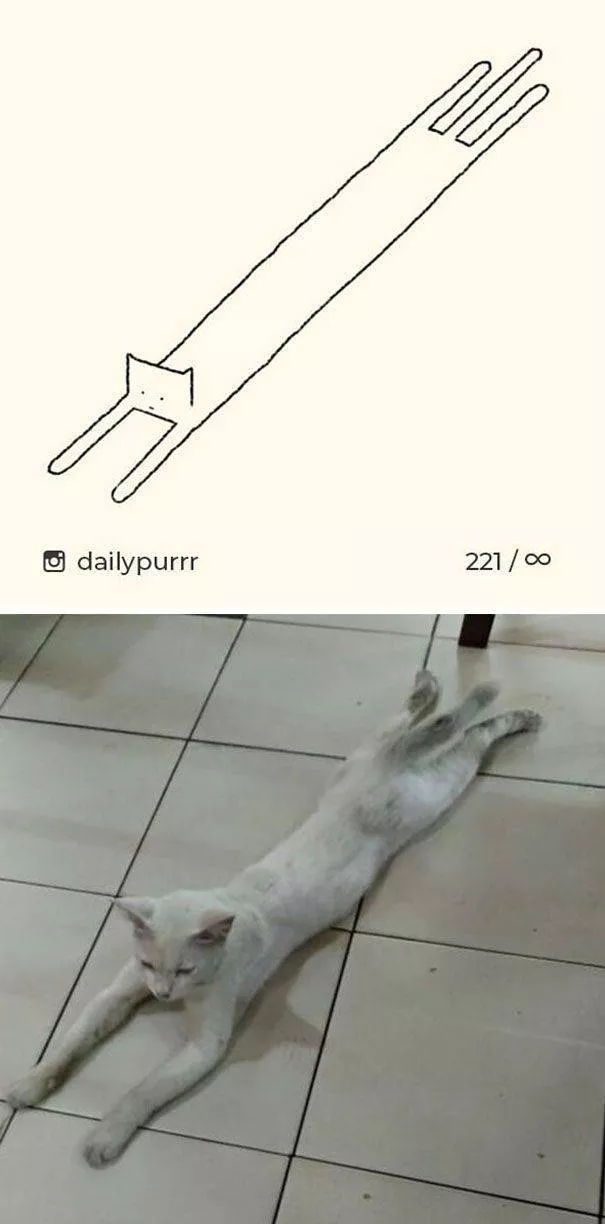Dessins de chats tres stupides - #8 