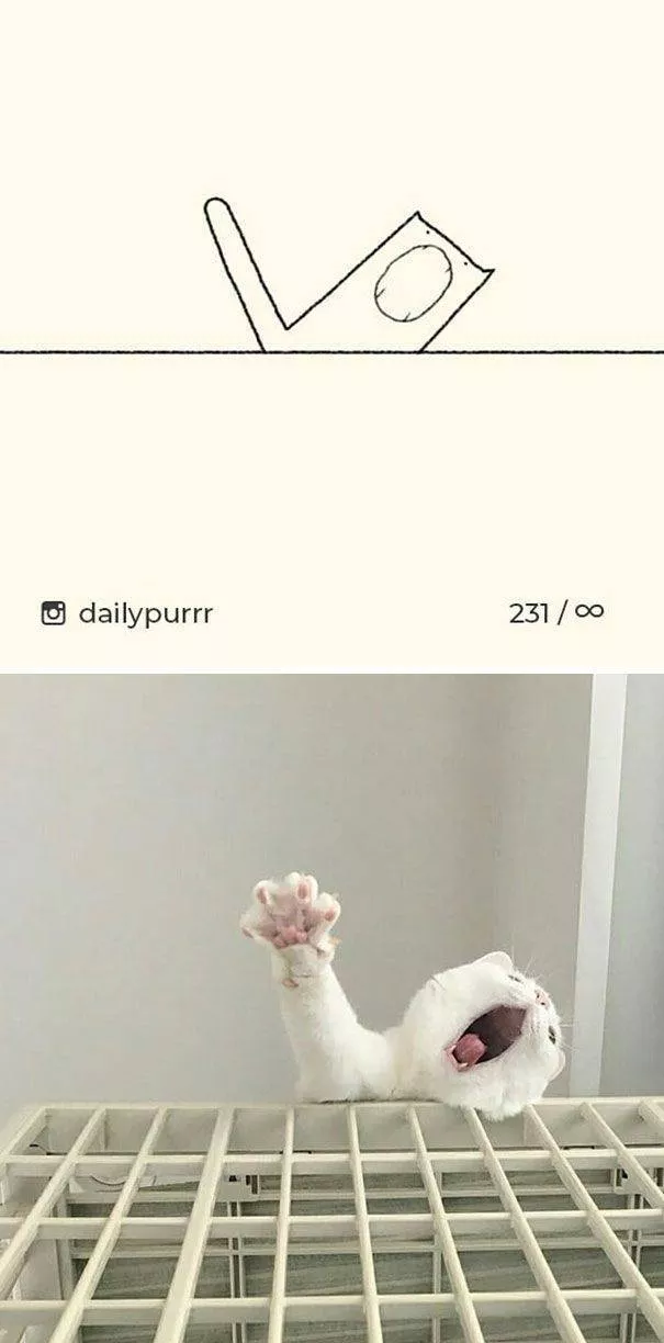 Dessins de chats tres stupides - #9 