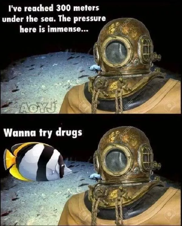 Pictures that make you try not to laugh - #10 