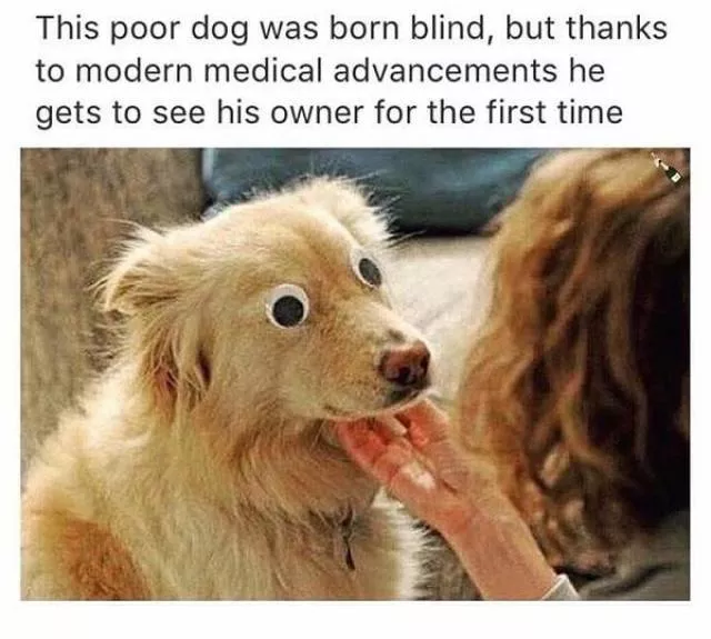 Pictures that make you try not to laugh - #21 