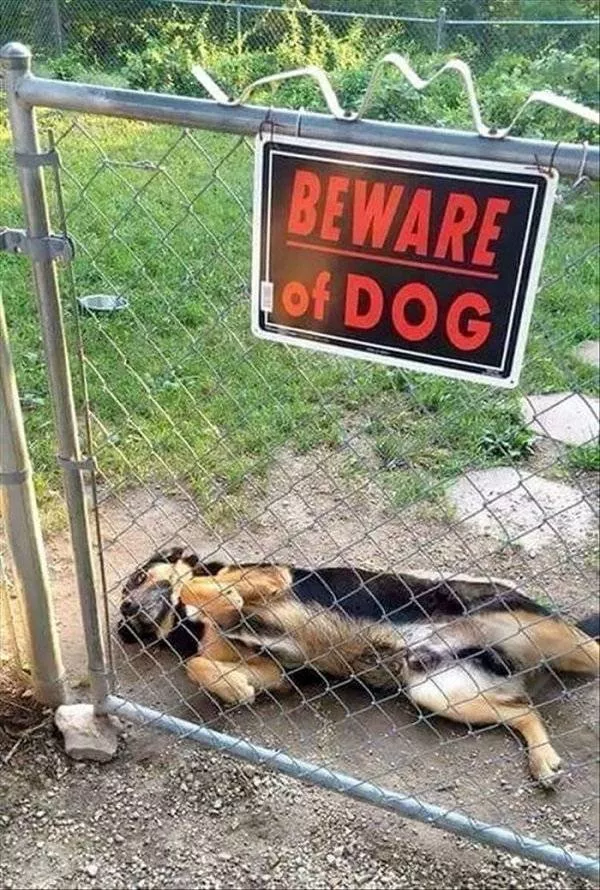 Pictures that make you try not to laugh - #3 