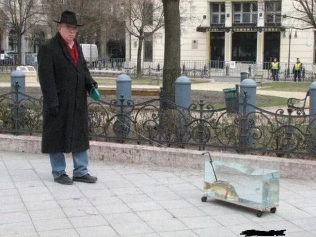 Things weirder than you think - #9 
