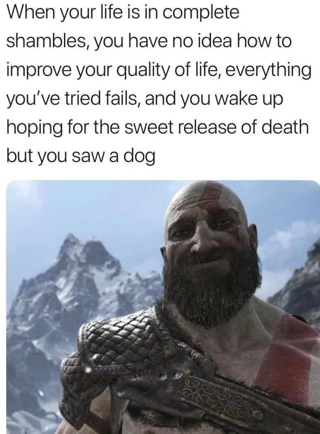 For gamers only - #17 