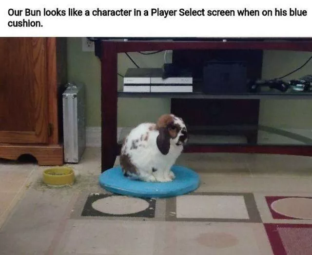 Pour les gamers seulement - #5 