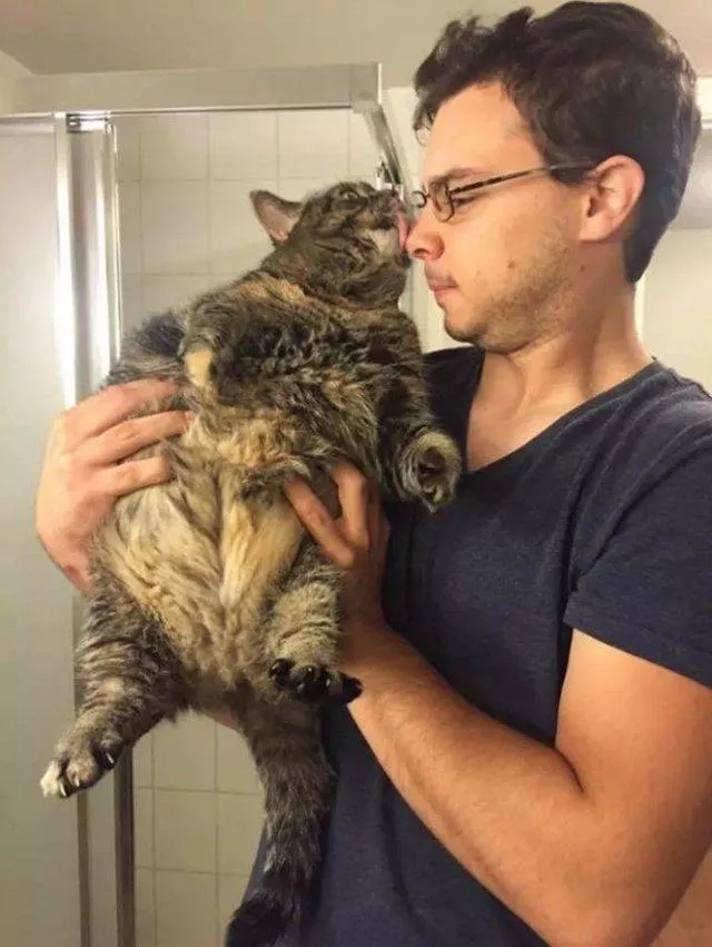 Les animaux les plus cool au monde - #27 
