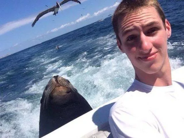 Les animaux les plus cool au monde - #33 