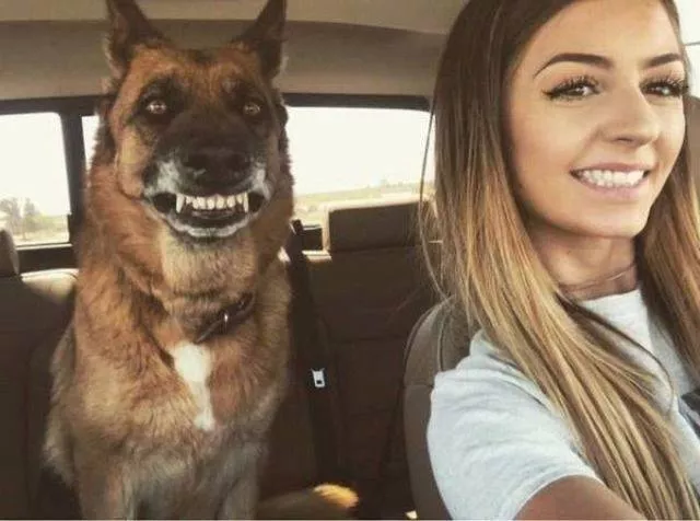 Les animaux les plus cool au monde - #41 Les animaux les plus cool au monde - #41