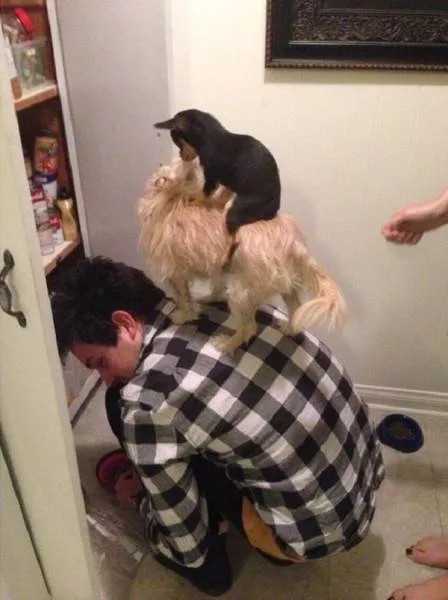 Picdump 453 - #18 