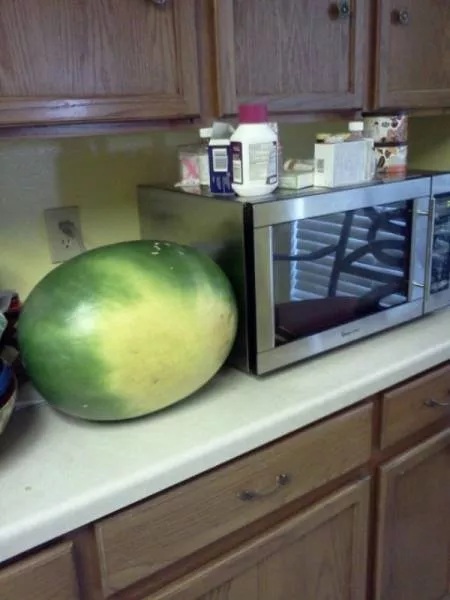 Picdump 453 - #23 