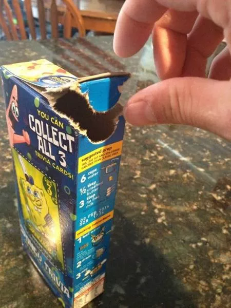 Picdump 453 - #40 