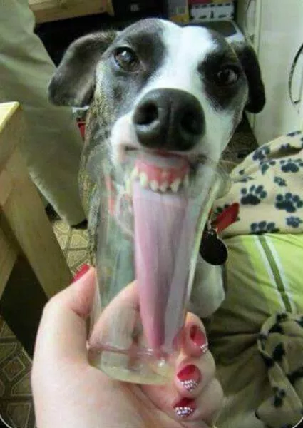 Picdump 453 - #42 