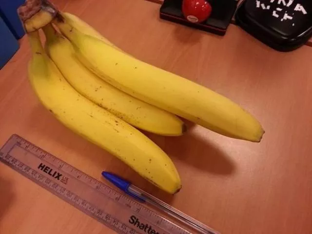 Picdump 453 - #45 